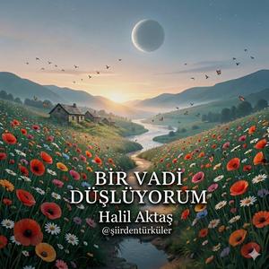 BİR VADİ DÜŞLÜYORUM