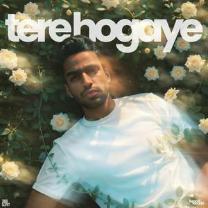 tere hogaye