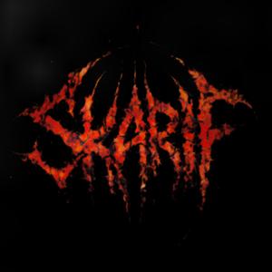 JEG ER BARE EN STAKKER SKIZOID