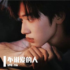 不说爱的人