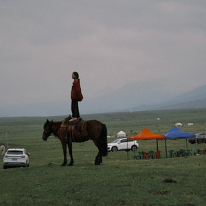 小鸟（翻自 Chainhaha）