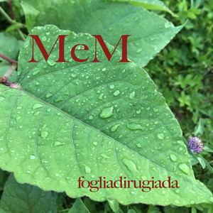 Il respiro imprevedibile dei sogni