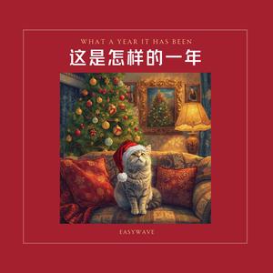 这是怎样的一年