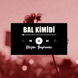 Bal Kimidi
