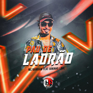 Pau de Ladrão