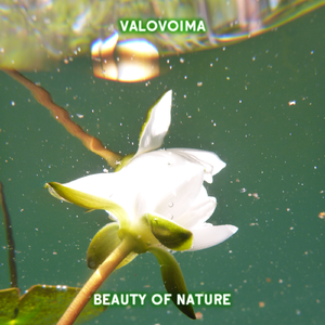 Vigorous Plate Tectonics