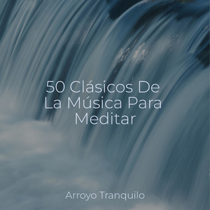 Reflexiones Tranquilas