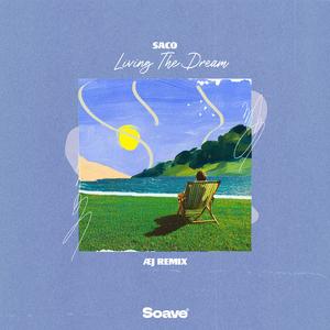 Living The Dream (Æj Remix)