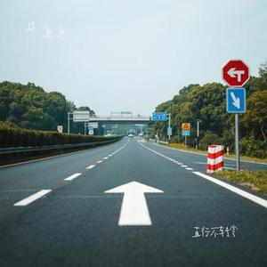 直行不转弯 (Cover 头不疼)