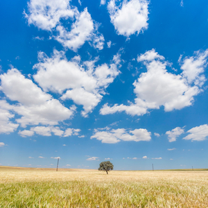 Chilled