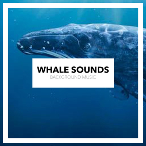 Whale Sounds Deep Underwater Submarine (Original Mix)