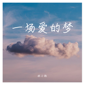 一场爱的梦