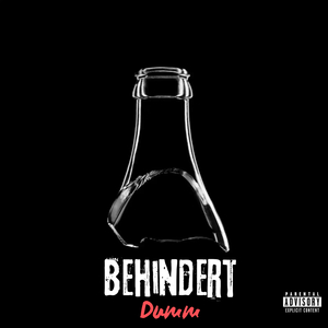 Behindert Dumm
