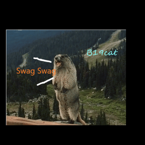 YvngcAt 2018 Beat Slippery Free