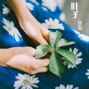 叶子伴奏