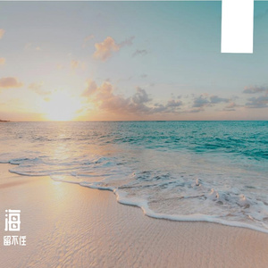 微风海岸的遐想