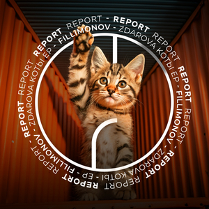 Zdarova Kotbi (Dub Mix)