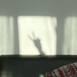 不知如何说爱你