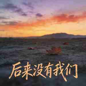 后来没有我们