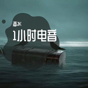 1小时电音