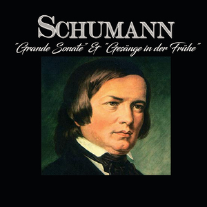 Grand Sonata No. 3 in F Minor, Op. 14:IV. Prestissimo Possibile