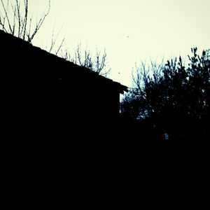 Noisy