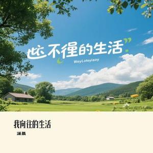 我向往的生活 (潇晨 Remix)