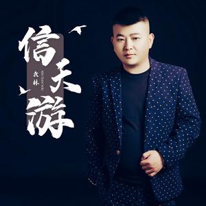 信天游 (DJ阿能版伴奏)