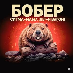 бобер:моя база