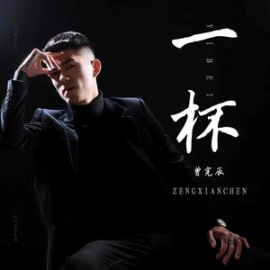 一杯 (DJ凯利版)