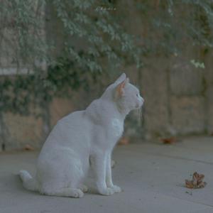 Departures ~あなたにおくるアイの歌~（cover：EGOIST)