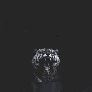 乌拉！（可有道混音）