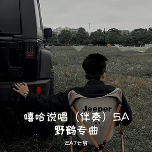 嘻哈说唱（伴奏）_SA野鹤专曲