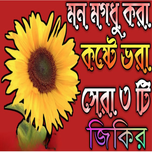 মন মগধু করা কষ্টে ভরা সেরা তিনটি জিকির আফজল জিকির