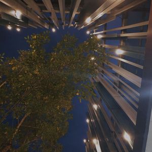 花花進化 (prod. Xouns)