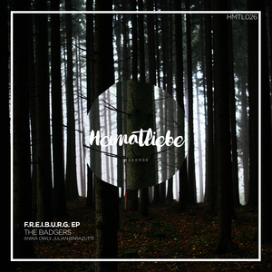 F.r.e.i.b.u.r.g. (Anina Owly Remix)