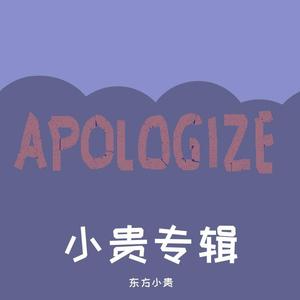 Apologize（小贵版）