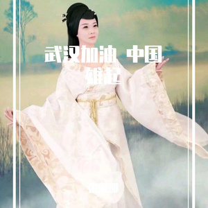 武汉加油 中国雄起