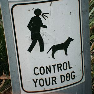 言多必失freestyle