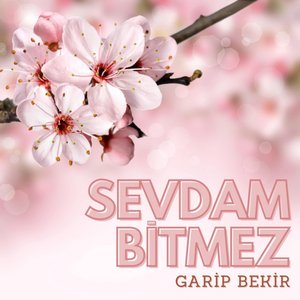 Gidebilsem Medine'ye