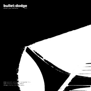 When you Believe (Shelley Parker Remix)