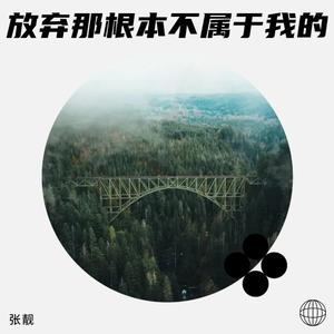 放弃那根本不属于我的爱情