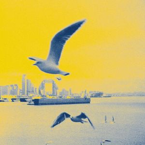 如果有多一張船票，你會不會同我一起走？