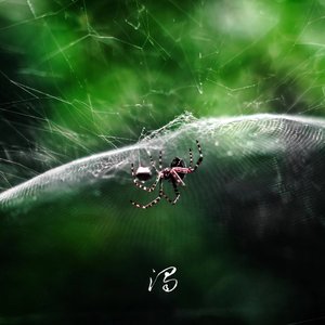 饮鸠止渴（Willful Misstep）