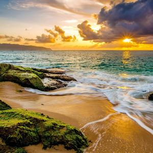 是是非非真真假假