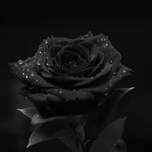 【Scorpio】＂K＂ Diss Track Type Beat