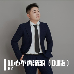 让心不再流浪（DJ版）