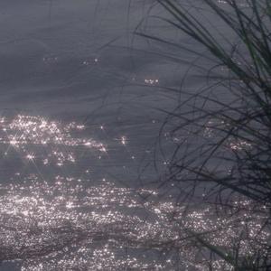 吉姆餐厅