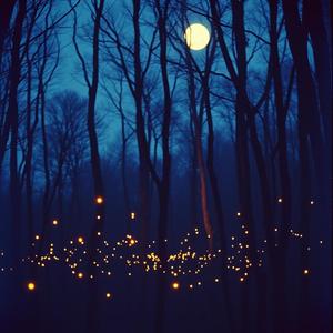 今夜是我们的童话