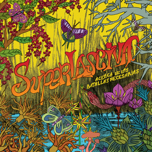 La vida no es un plan